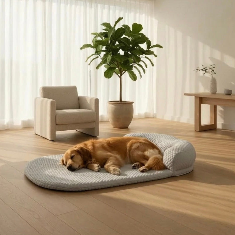 Orthopedic Cooling Dog Bed with Gel Mat & Joint Support