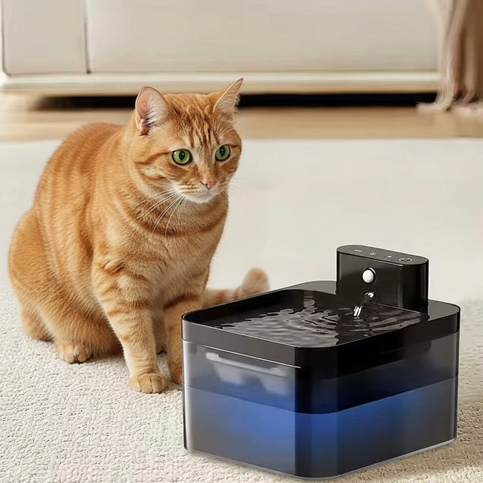 Automatic Cat Water Fountain | 2.2L | Infrared Sensor | USB-C Rechargeable | Quiet | Black