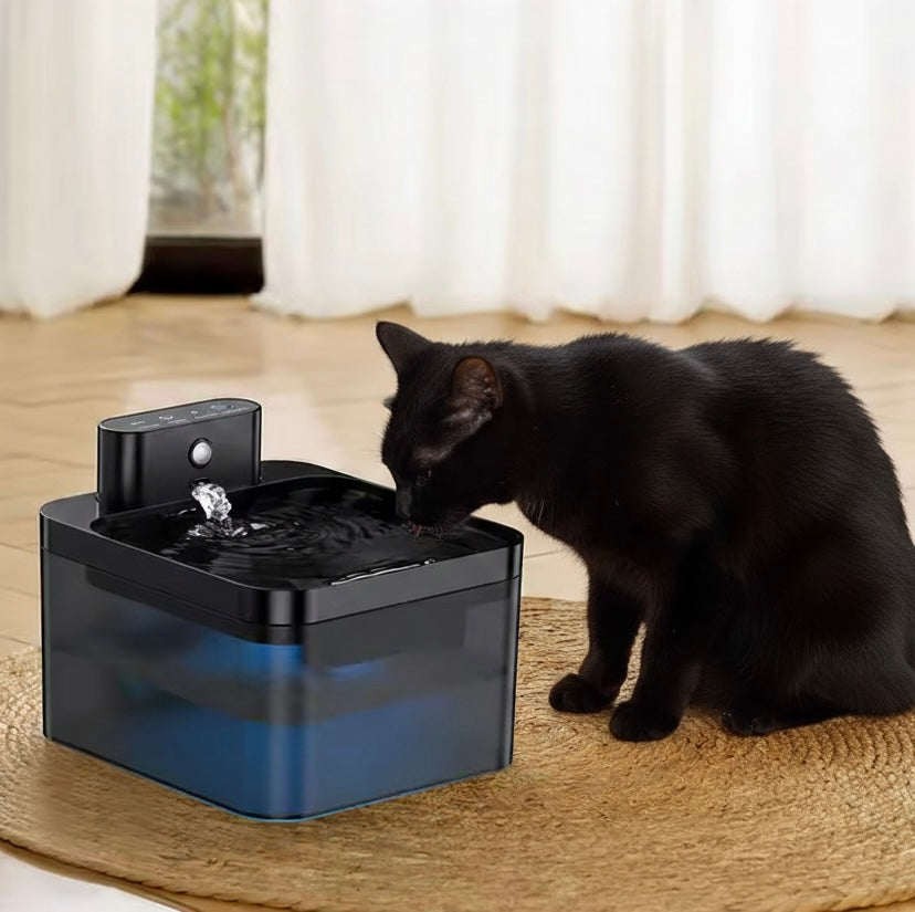Automatic Cat Water Fountain | 2.2L | Infrared Sensor | USB-C Rechargeable | Quiet | Black