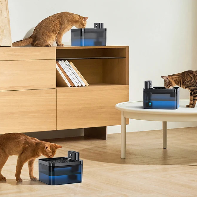 Automatic Cat Water Fountain | 2.2L | Infrared Sensor | USB-C Rechargeable | Quiet | Black
