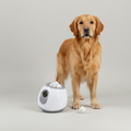 Automatic Dog Ball Launcher – 3 Distance Settings, Auto-Launch & US Plug Included