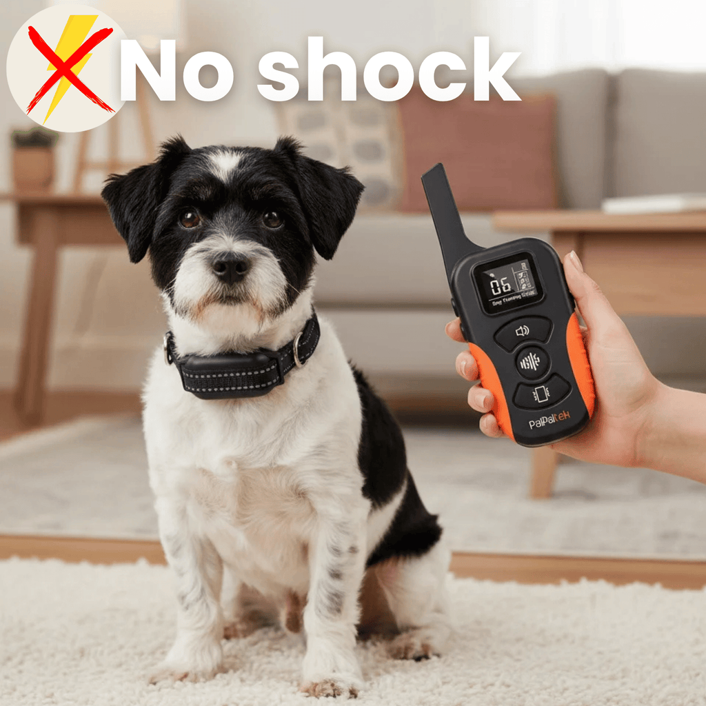 BarkShield | Anti Bark Collar for Dogs with Sound & Vibration | Adjustable Fit for Stress-Free Bark Control