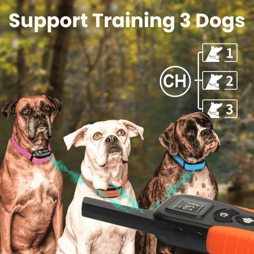 BarkShield | Anti Bark Collar for Dogs with Sound & Vibration | Adjustable Fit for Stress-Free Bark Control