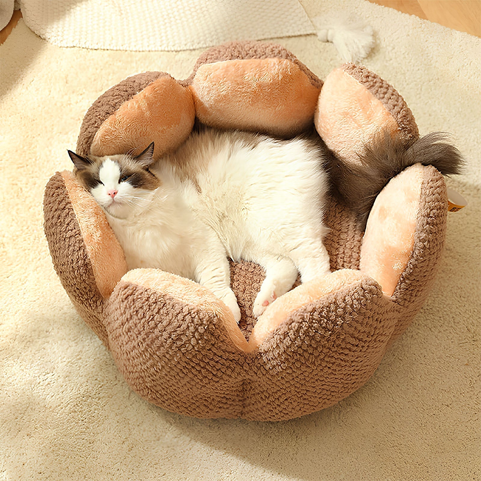 Cactus Pet Bed – Soft Plush with Cozy Enclosed Design for Cats & Small Dogs