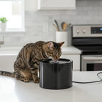 Ceramic Cat Water Fountain – 4-Layer Filtration, Ultra-Silent 20dB & USB Powered