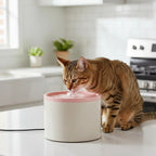 Ceramic Cat Water Fountain – 4-Layer Filtration, Ultra-Silent 20dB & USB Powered