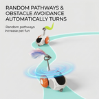 Chase Buddy | Interactive Cat Toy with Remote Control & Feather Wand | Engaging Play for Cats