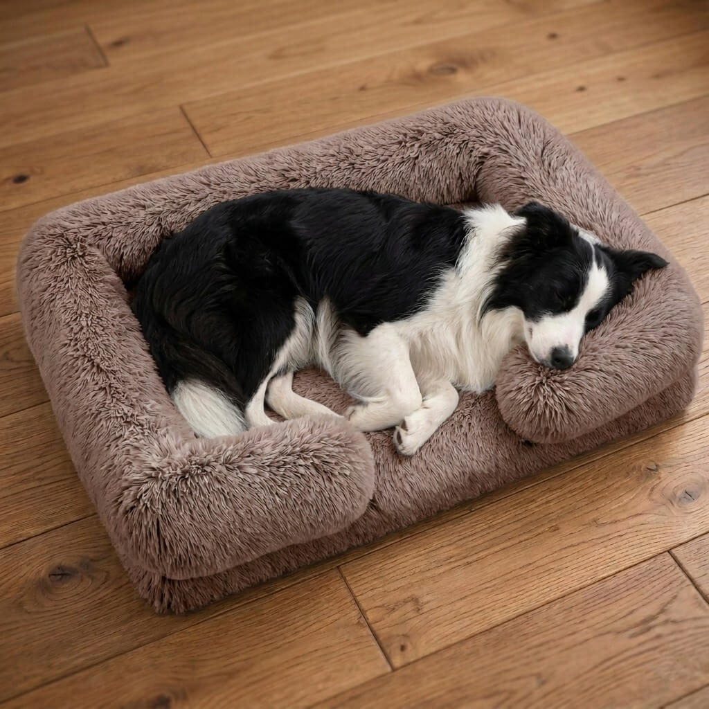 Comfort Haven | Orthopedic Dog Bed with High-Density Foam & Bolster Support | Large Size for Joint Relief