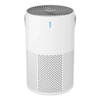 Compact Air Purifier | H13 True HEPA Filter for Pet Dander, Odor & Allergens | 3 Speed Settings, Portable Design