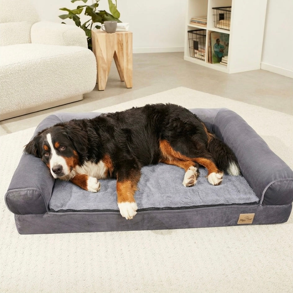 Orthopedic Dog Bed with Bolster & Waterproof Liner