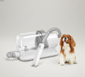 Dog & Cat Grooming Kit with Vacuum | 5 Tools & 4 Combs | 2.3L Container | 60dB | AC Powered