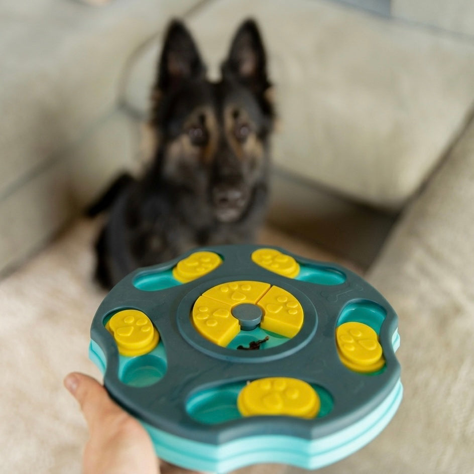 Beginner Dog Puzzle Toy – Simple Compartments for Mental Stimulation & Confidence Building