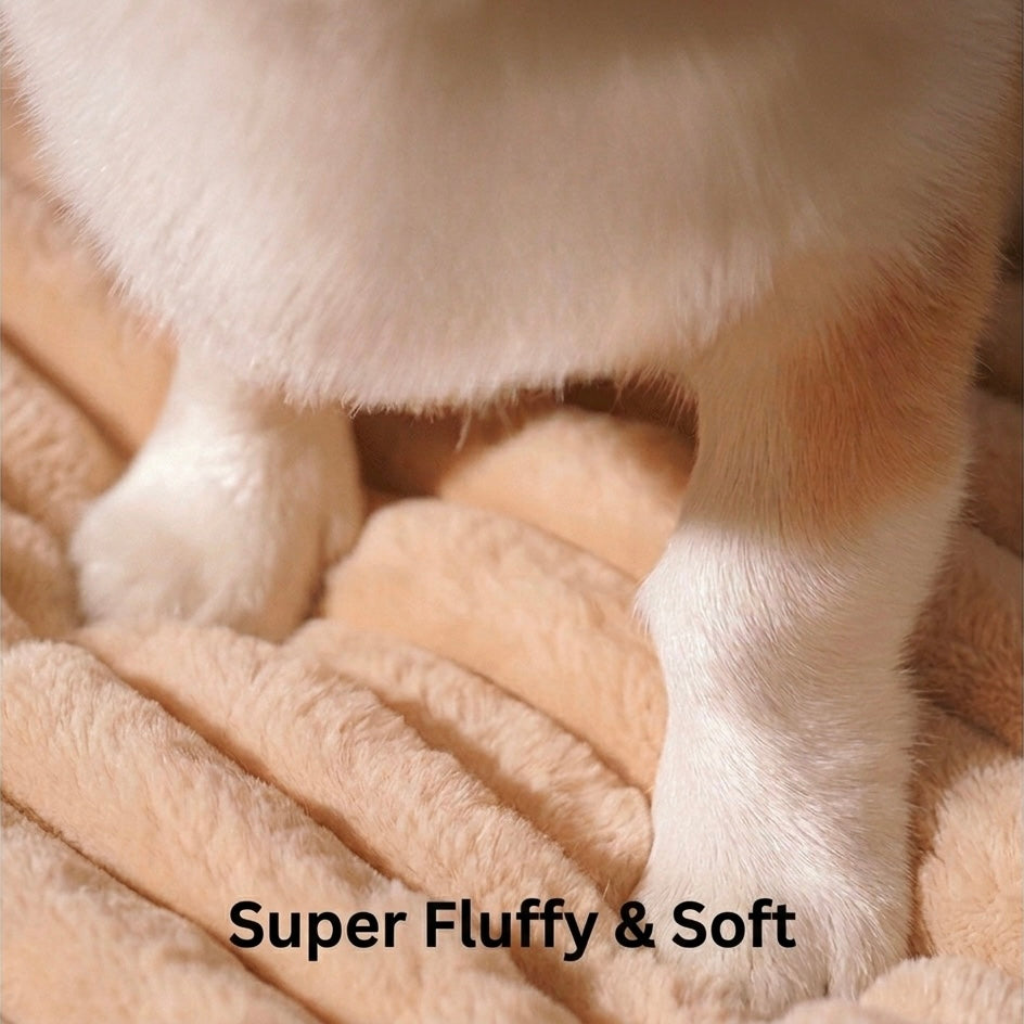 Memory Foam Dog Mat – Ergonomic Support & Removable Washable Cover