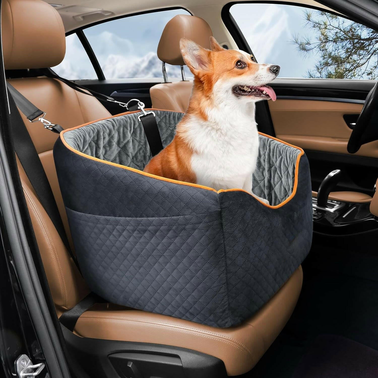 Elevated Dog Booster Car Seat – Safety Belt Attachment & Quilted Interior