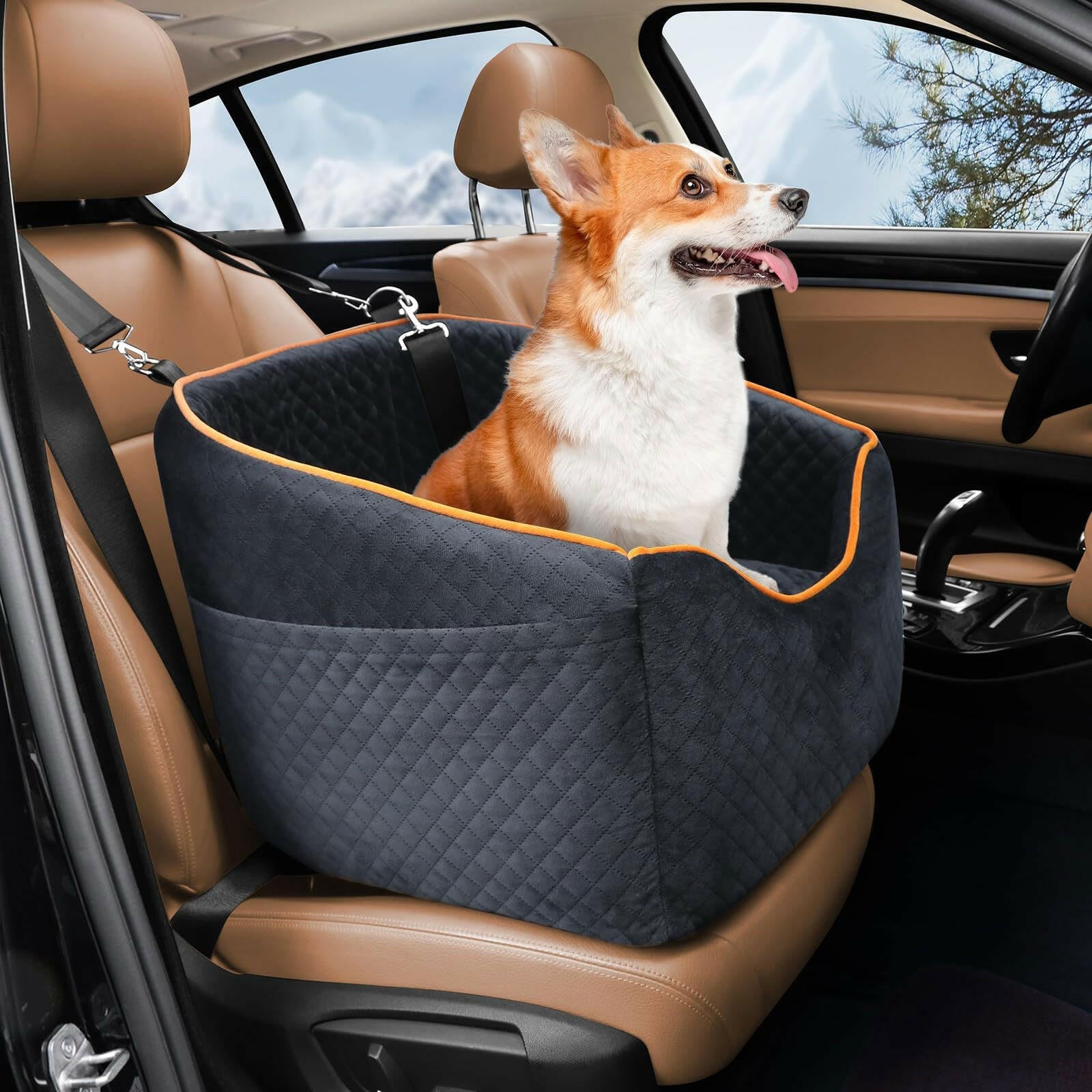 Elevated Dog Booster Car Seat – Safety Belt Attachment & Quilted Interior