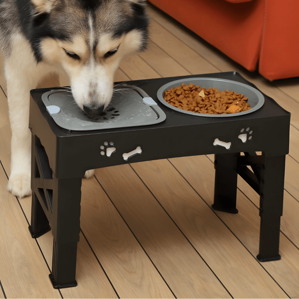 3-in-1 Elevated Dog Bowl Stand – Slow Feeder, Spill-Proof Water Bowl & 5 Height Settings