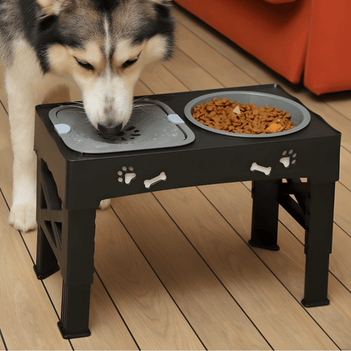 3-in-1 Elevated Dog Bowl Stand – Slow Feeder, Spill-Proof Water Bowl & 5 Height Settings