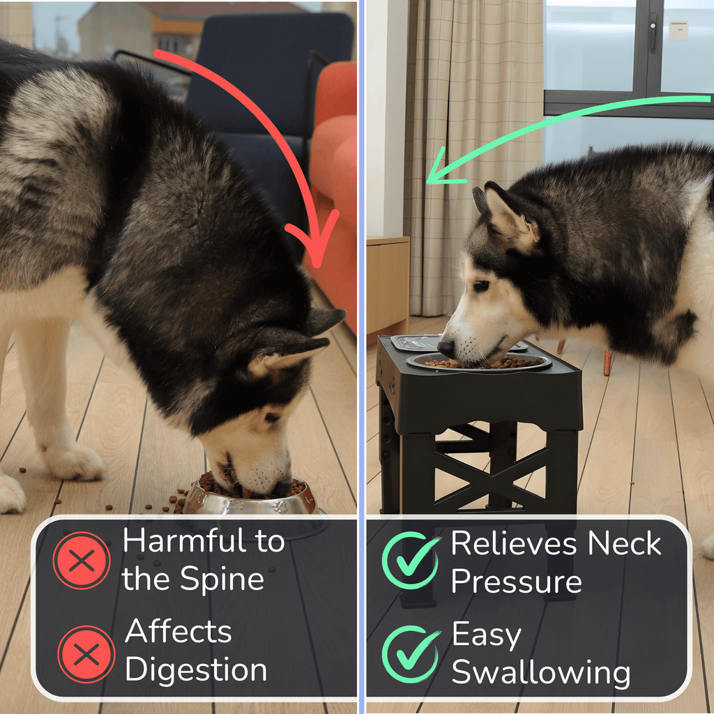 3-in-1 Elevated Dog Bowl Stand – Slow Feeder, Spill-Proof Water Bowl & 5 Height Settings