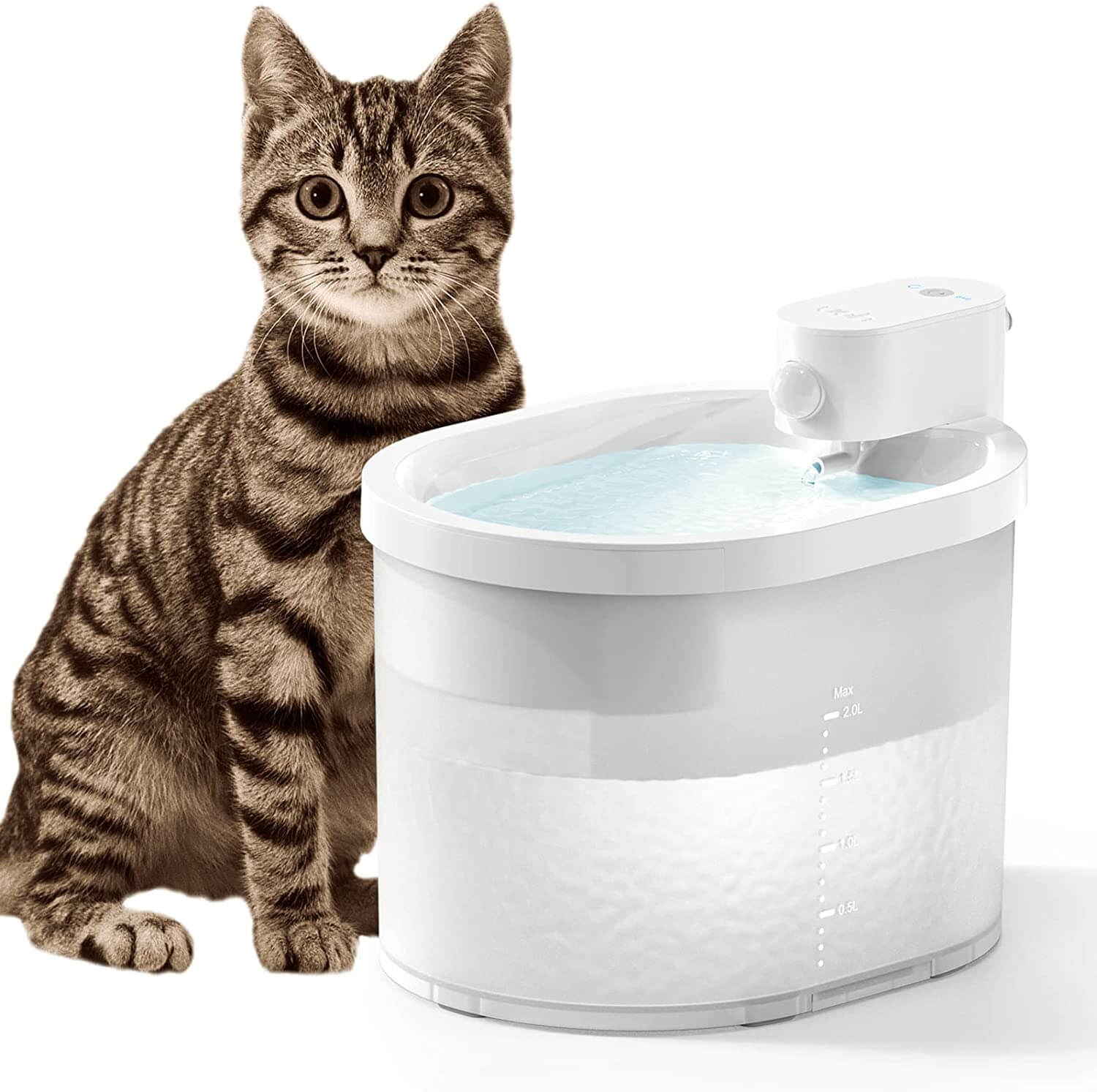Motion Sensor Cat Water Fountain | 2L | 6-Layer Filtration | USB Rechargeable | Quiet | Black
