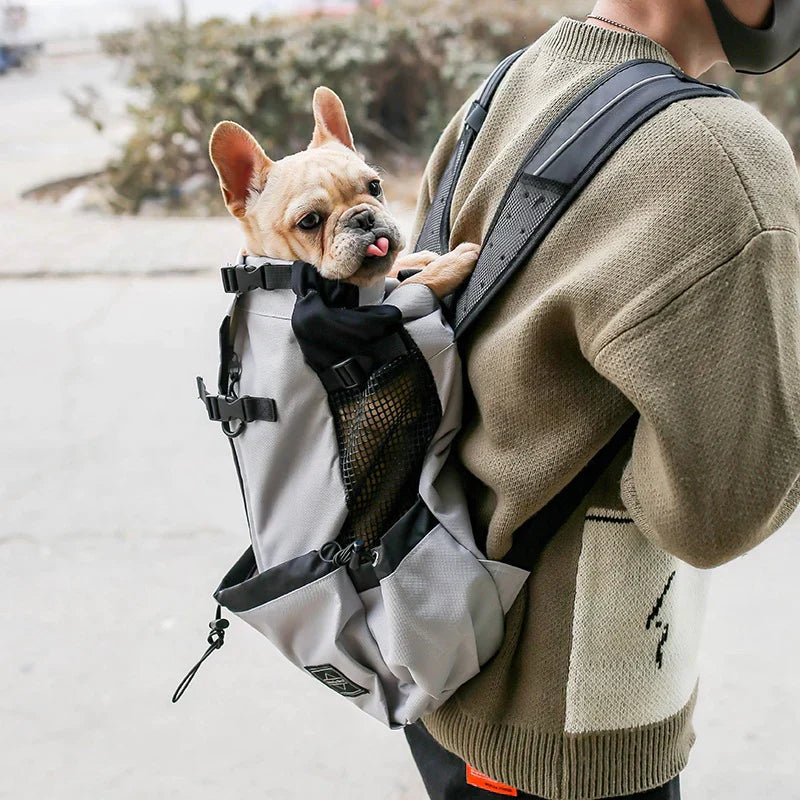 Dog Backpack Carrier – Ergonomic & Breathable with Built-In Safety Harness