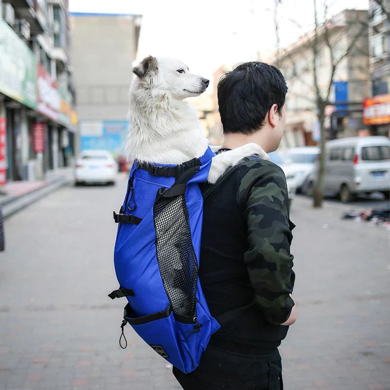 Dog Backpack Carrier – Ergonomic & Breathable with Built-In Safety Harness
