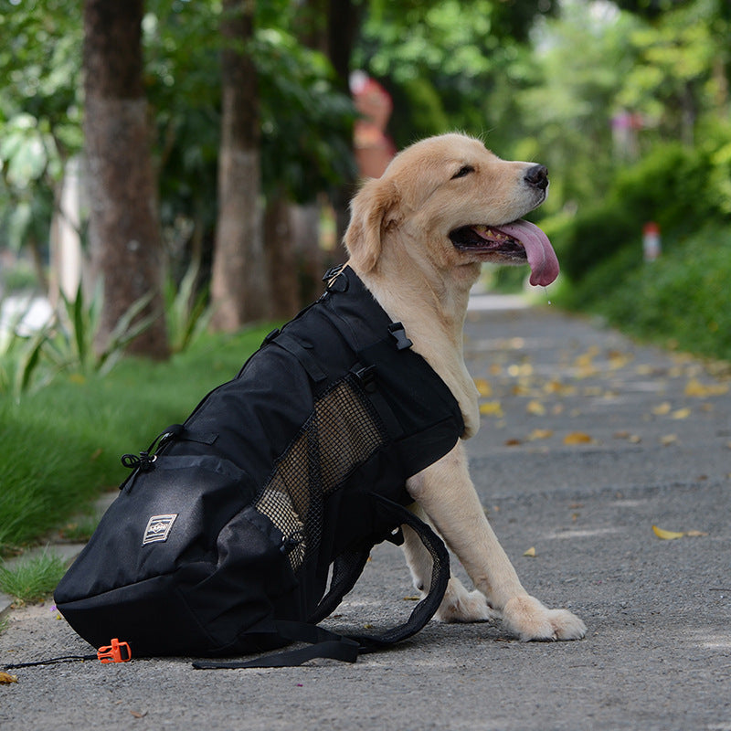Dog Backpack Carrier – Ergonomic & Breathable with Built-In Safety Harness