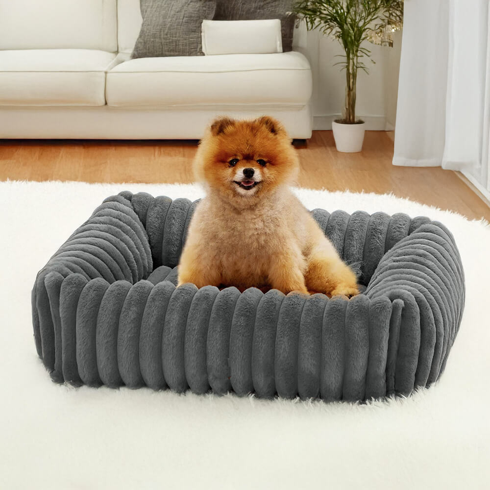 Orthopedic Dog Bed | Foam Base & Raised Edges | Small & Medium | 5 Colors | Hand Washable