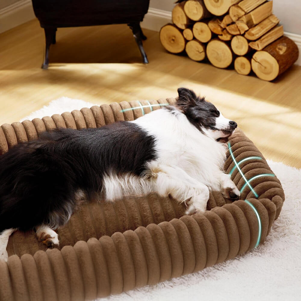 Orthopedic Dog Bed | Foam Base & Raised Edges | Small & Medium | 5 Colors | Hand Washable