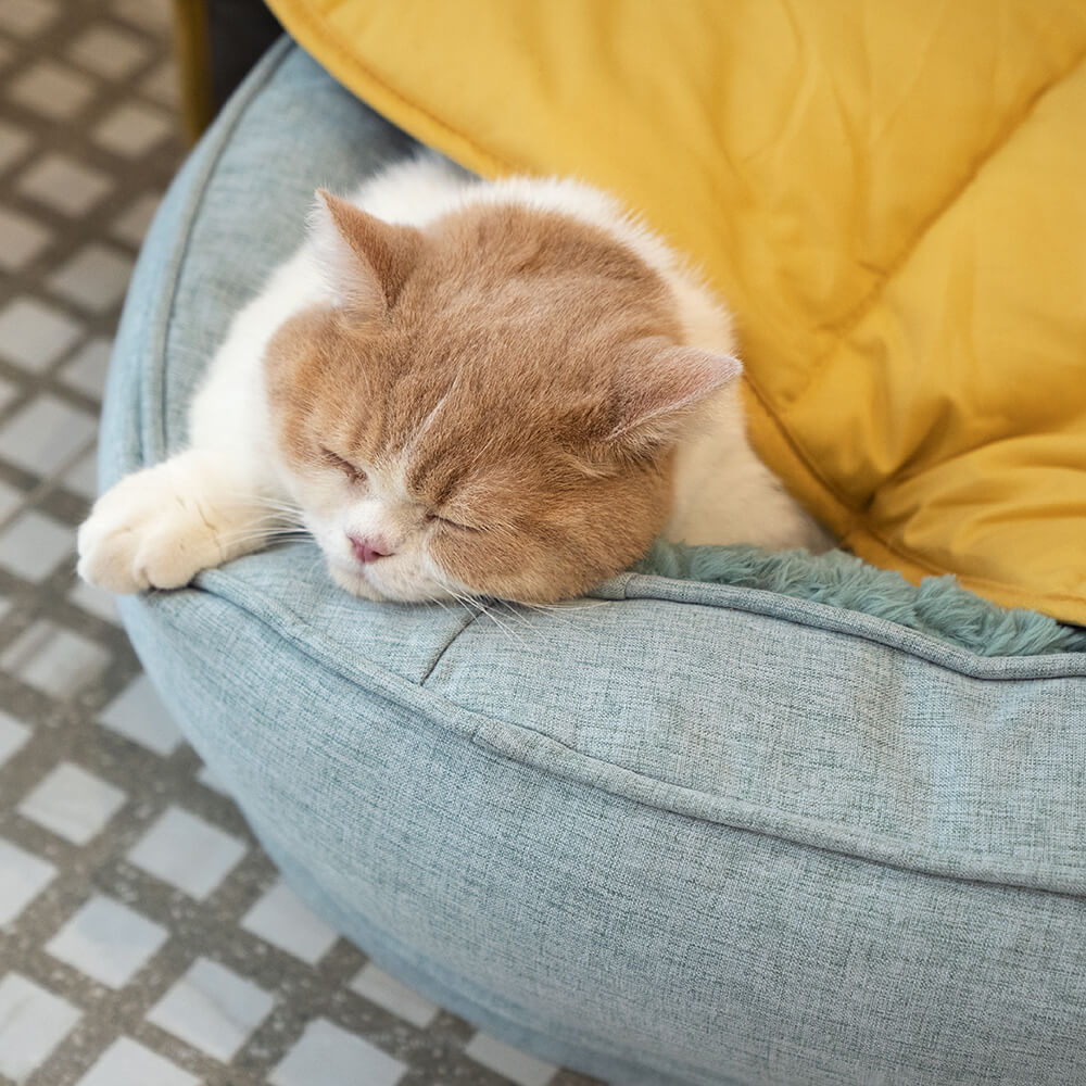 Orthopedic Dog Bed | Removable Washable Cover | Water-Resistant | Medium & Large | 6 Colors