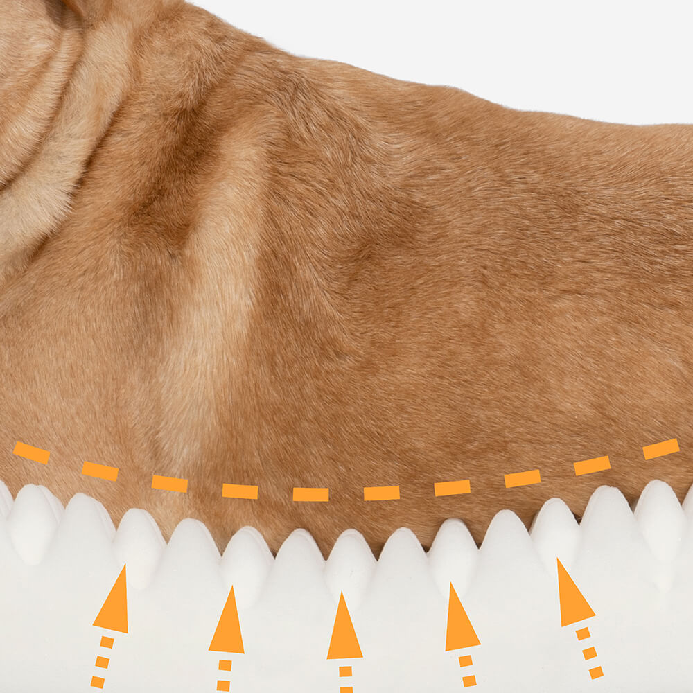 Orthopedic Dog Bed | Removable Washable Cover | Water-Resistant | Medium & Large | 6 Colors