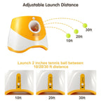 Automatic Ball Launcher for Dogs – 3 Distance Settings & 6 Balls Included